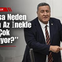Hayvancılık