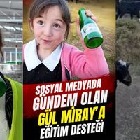 Genel