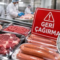 Gıda