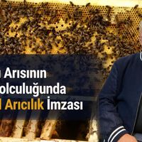 Gıda