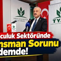 Tarım
