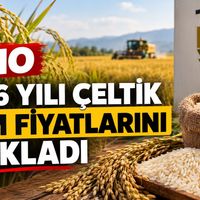 Gıda