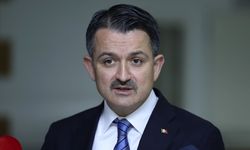 Hayvancılık Desteklerinde 5 Yeni Müjde