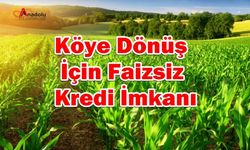 Köye Dönüş İçin Faizsiz Kredi İmkanı