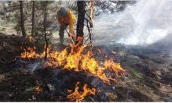 Muğla'da  Orman Yangınları