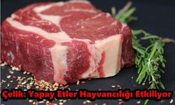 Çelik: Yapay Etler Hayvancılığı Etkiliyor