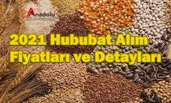 2021 Hububat Alım Fiyatları ve Detayları