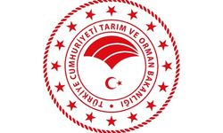 Bakanlıkta Yeni Atamalar Gerçekleşti