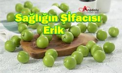 Sağlığın Şifacısı Erik