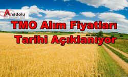 TMO Alım Fiyatları Tarihi Açıklanıyor