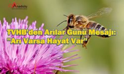 TVHB'den Dünya Arı Günü Mesajı: ''Arılar Varsa Hayat Var''