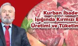 KURBAN İBADETİ IŞIĞINDA KIRMIZI ET ÜRETİMİ VE TÜKETİMİ