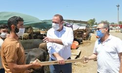 Kurbanda Covid- 19 Tedbirleri Nasıl Olmalı?
