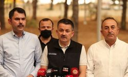 Pakdemirli: 6 bin dekar tarım arazisi yandı