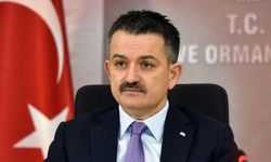 Hasar Ödemeleri Ne Zaman Yatırılacak?