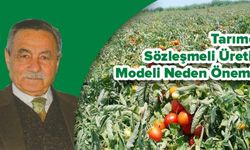 Tarımda Sözleşmeli Üretim Modeli Neden Önemli?
