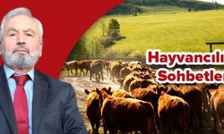 HAYVANCILIK SOHBETLERİ