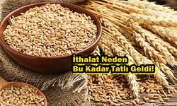 İthalat Neden Bu Kadar Tatlı Geldi!