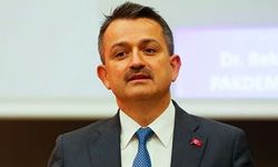 Pakdemirli:  AB pazarında daha fazla ürünümüzü görmek istiyoruz
