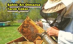 Şahin: Arı Olmazsa Tarım Çöker