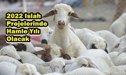 2022 Islah Projelerinde Hamle Yılı Olacak