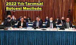 2022 Yılı Tarımsal Bütçesi Meclis de...