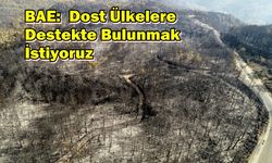 BAE: Dost Ülkelere Destekte Bulunmak İstiyoruz