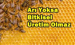 Arı Yoksa Bitkisel Üretim Olmaz