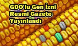 GDO'lu Gen İzin Resmi Gazetede Yayınlandı