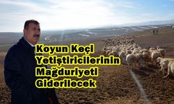 Koyun Keçi Yetiştiricilerinin Mağduriyeti Giderilecek