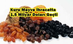Kuru Meyve  İhracatta 1,5 Milyar Doları Geçti