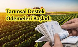 Tarımsal Destek Ödemeleri Başladı