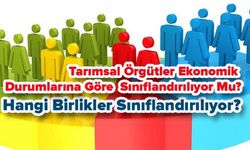 Tarımsal Örgütler Ekonomik Durumlarına Göre Sınıflandırılıyor Mu?