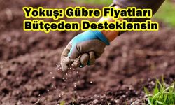 Yokuş: Gübre Fiyatları Bütçeden Desteklensin