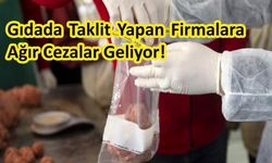 Gıdada Taklit Yapan Firmalara Ağır Cezalar Geliyor!