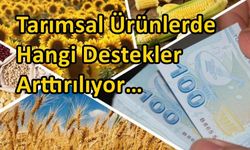 Tarımsal  Ürünlerde Hangi Destekler Arttırılıyor…