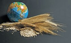 Küresel Gıda Fiyatları Yükseliyor!