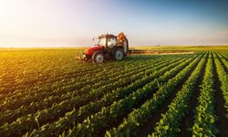 Mayıs Ayında Tarımsal Girdi Fiyat Endeksi Arttı
