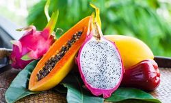 Milyon Dolarlık Tropikal Meyve İhracatı