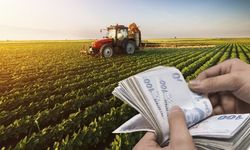 Tarımsal Destek Ödemeleri Çiftçilerin Hesaplarına Aktarılıyor!