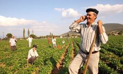 Başkan Erdoğan’dan Çiftçilere Tam Destek