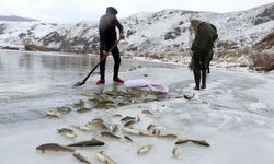 Ağrı’lı Çiftçiler Ekmeklerini Buzun Altından Çıkarıyorlar!