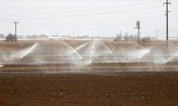 Kuraklık Nedeniyle Çiftçi Şimdiden Tarlasını Sulamaya Başladı!