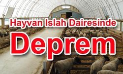 Islah Dairesinde Deprem