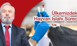 ÜLKEMİZDEKİ HAYVAN ISLAHI SÜRECİ