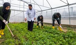 MEB: Tarım Liseleri Artırılarak Türkiye Tarım Üssü Haline Gelecek