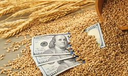 IMF: Küresel Tahıl Fiyatları Yükselecek