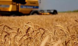 Kritik Anlaşmanın Sonu! Buğday Fiyatları Yükseldi mi?