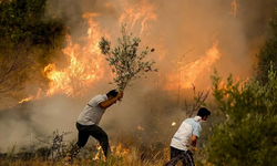 Orman Yangınlarıyla Mücadelede Toplumun Rolü!