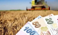 13 Milyon TL’lik Tarımsal Destekleme Ödemeleri Hesaplara Aktarılıyor!